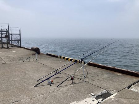 根室、夏枯れの時期にカレイ爆釣！！