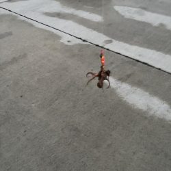 あぶね〜！魂の１杯やでぇ〜