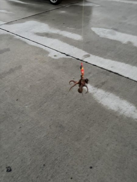 あぶね〜！魂の１杯やでぇ〜