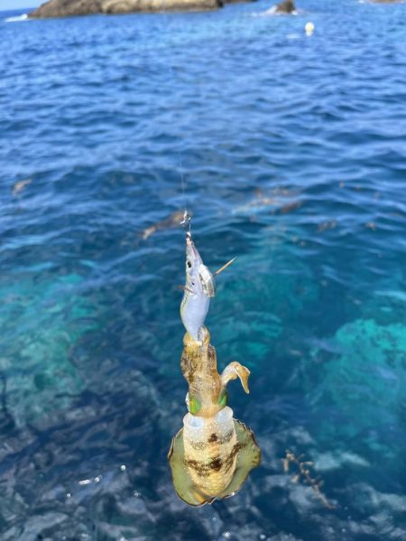 エギング　佐渡遠征①