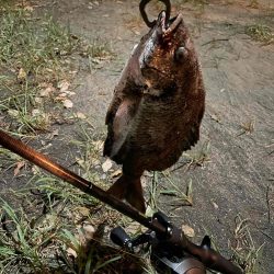 アーバンチニング②