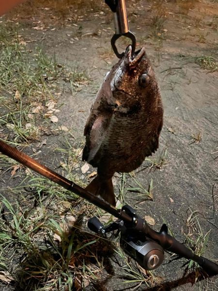 アーバンチニング②