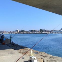 東二見のキス調査