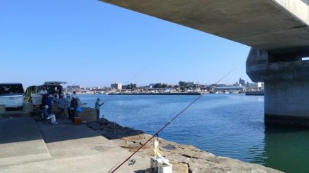 東二見のキス調査