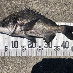 イチノ兄弟、釣果！