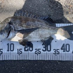 イチノ兄弟、釣果！