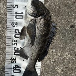 イチノ兄弟、釣果!