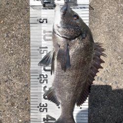 イチノ兄弟、釣果！