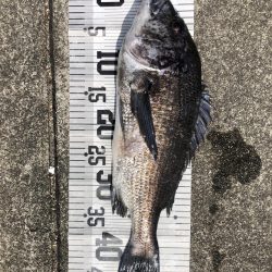 イチノ兄弟、釣果！