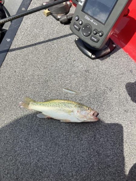 北山田小バスだらけ