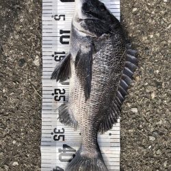 イチノ兄弟、釣果!