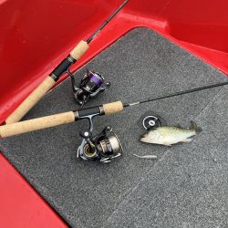 北山田小バス祭り