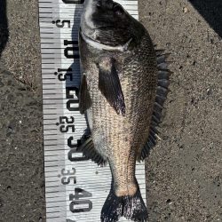 イチノ兄弟、釣果!