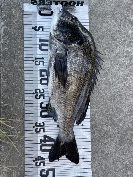 イチノ兄弟、釣果！