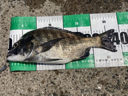 フジツボ•カニで2枚