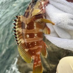 メッキサイズアップ!