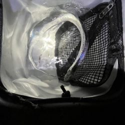 久しぶりの太刀