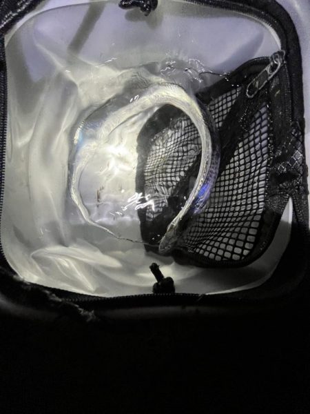 久しぶりの太刀