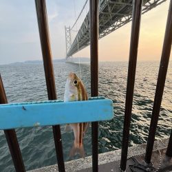 刀狩りしっぱい