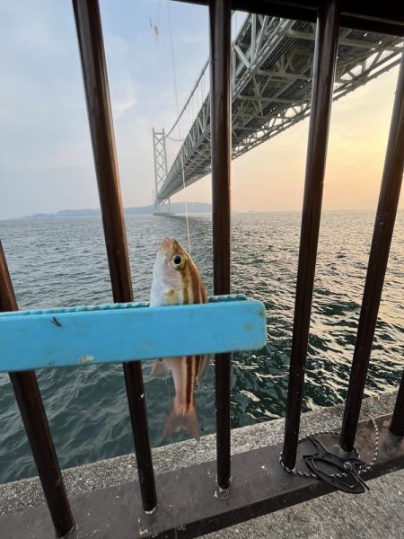 刀狩りしっぱい