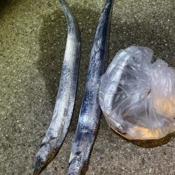 時合い短し。ギリF3