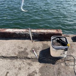 無限イワシと、キス