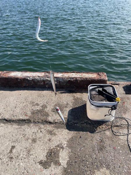 無限イワシと、キス