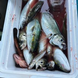 久しぶりの須磨沖釣行！