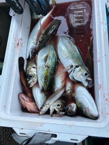 久しぶりの須磨沖釣行！