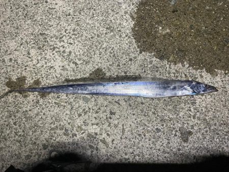 初太刀！  調査釣行