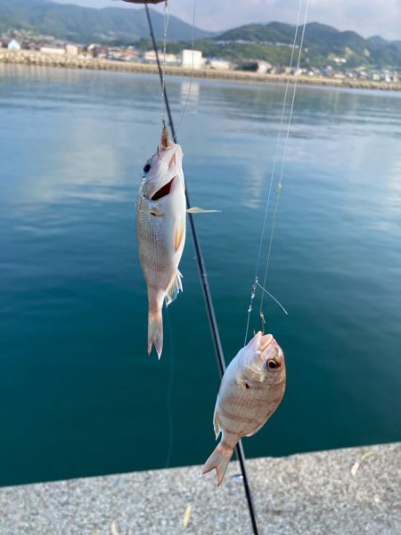淡路島釣行！
