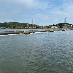 やっぱりチュパゾーいいね!