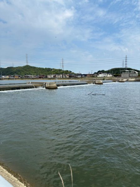 やっぱりチュパゾーいいね!