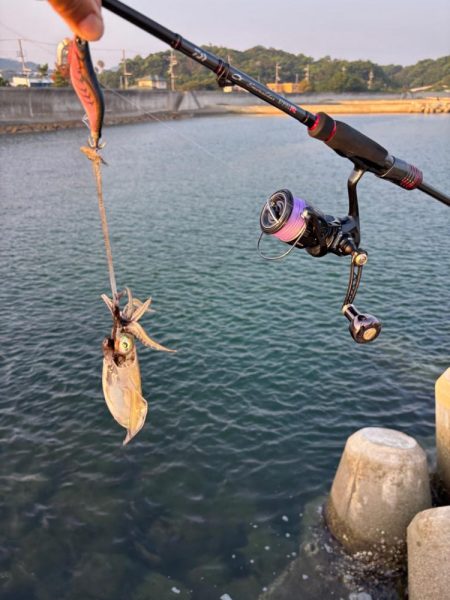 エギング2時間青物2時間