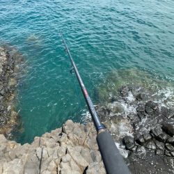 キジハタゲーム