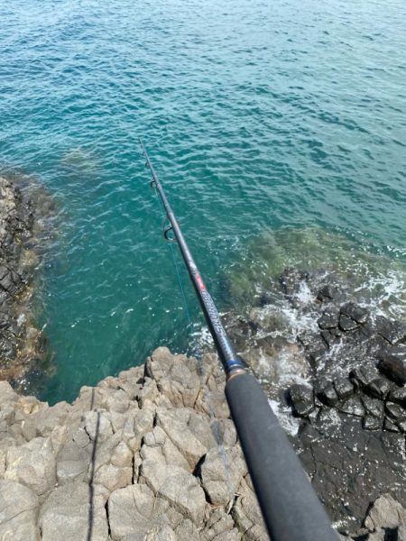 キジハタゲーム