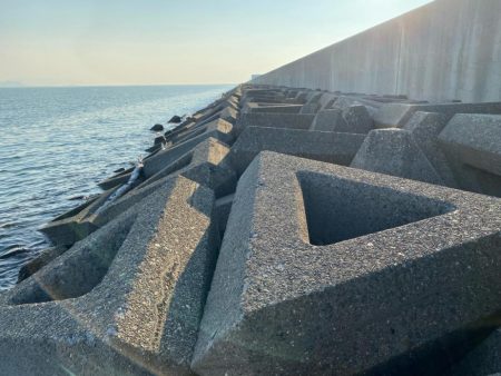 シロギスタ:酷暑の良型、今期自己ベスト22.8cm