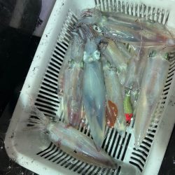 今期ラスト釣行