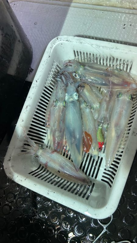 今期ラスト釣行