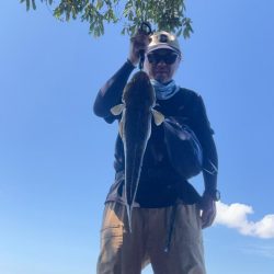 飲まず食わずのチニング