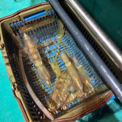 イカメタル5回目初大剣‼️