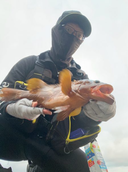 祝！記録更新キジハタゲーム