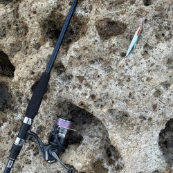 外道でしたが、、