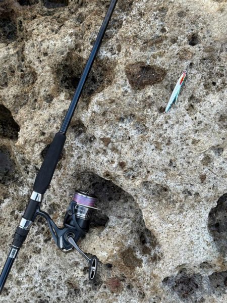 外道でしたが、、