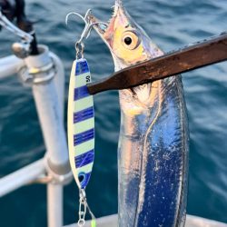タチウオ/タチウオジギング