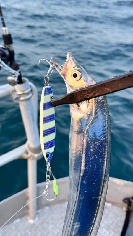 タチウオ/タチウオジギング