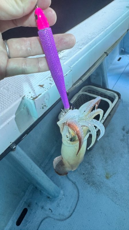 ケンサキイカ/イカメタル・オモリグ