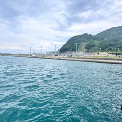 アジ/落とし込み