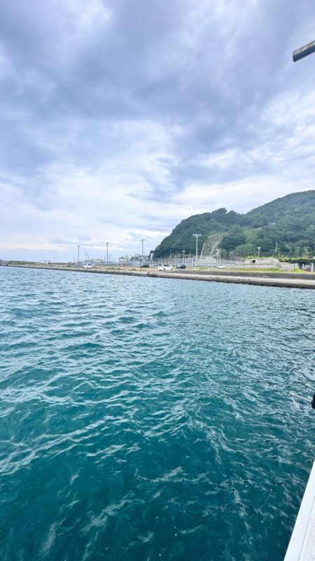 アジ/落とし込み