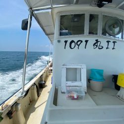 タコキロアップ